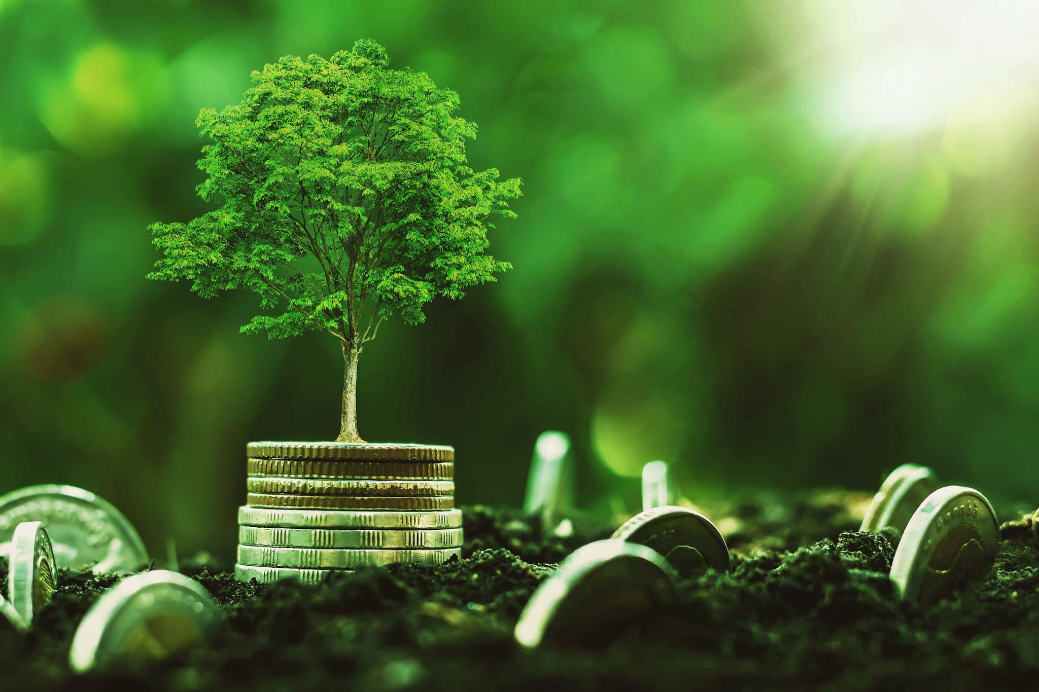 mutualfund